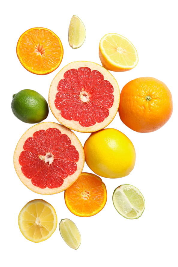 �ե롼�Ļ�
