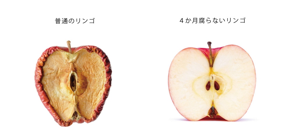 ¥ê¥ó¥´´´ºÙ˦¥¨¥¥¹