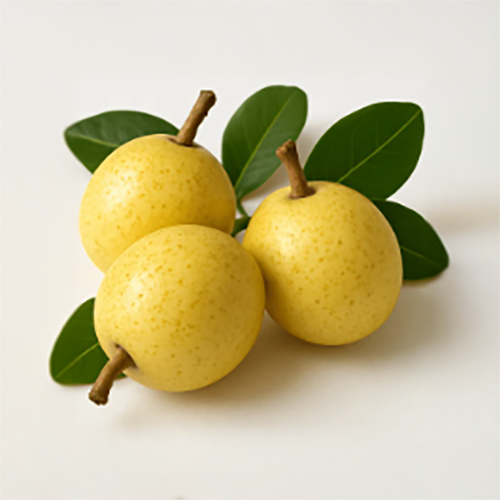 �ޥ�饪�����۹�