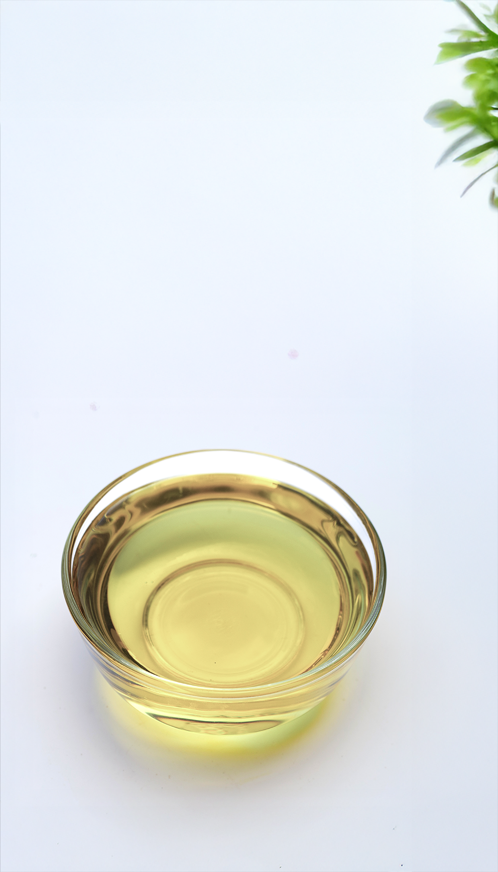 �ץ饻�󥿥���������ħ1