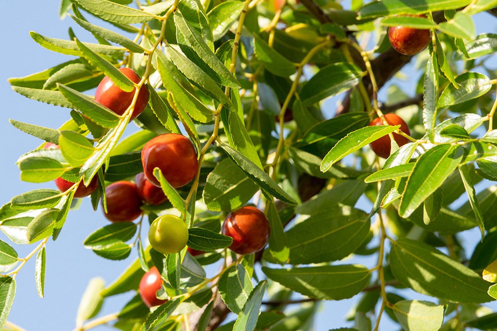 �ۥۥХ���������