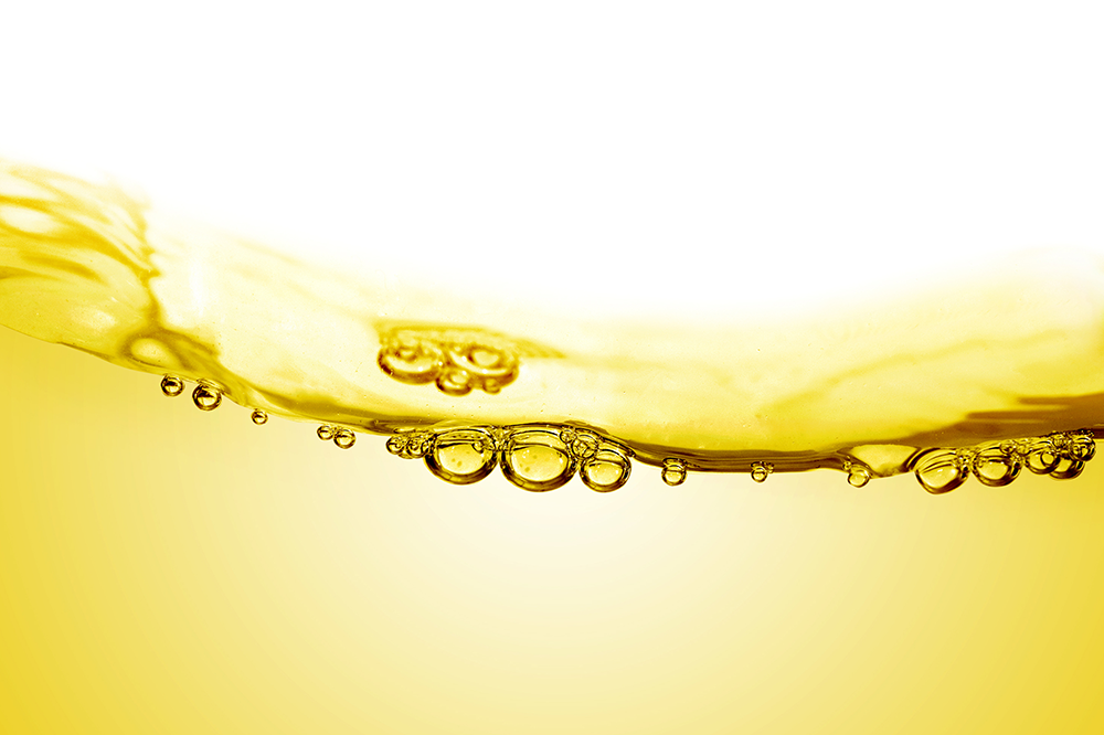 �ۥۥХ���������