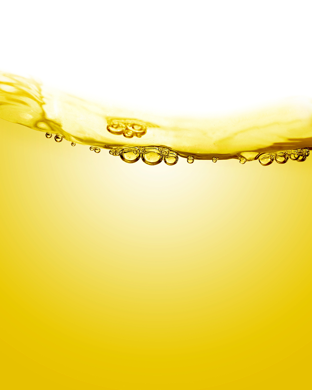 �ۥۥХ���������