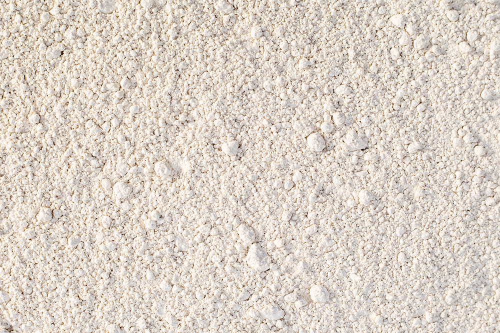 �ۥۥХ���������