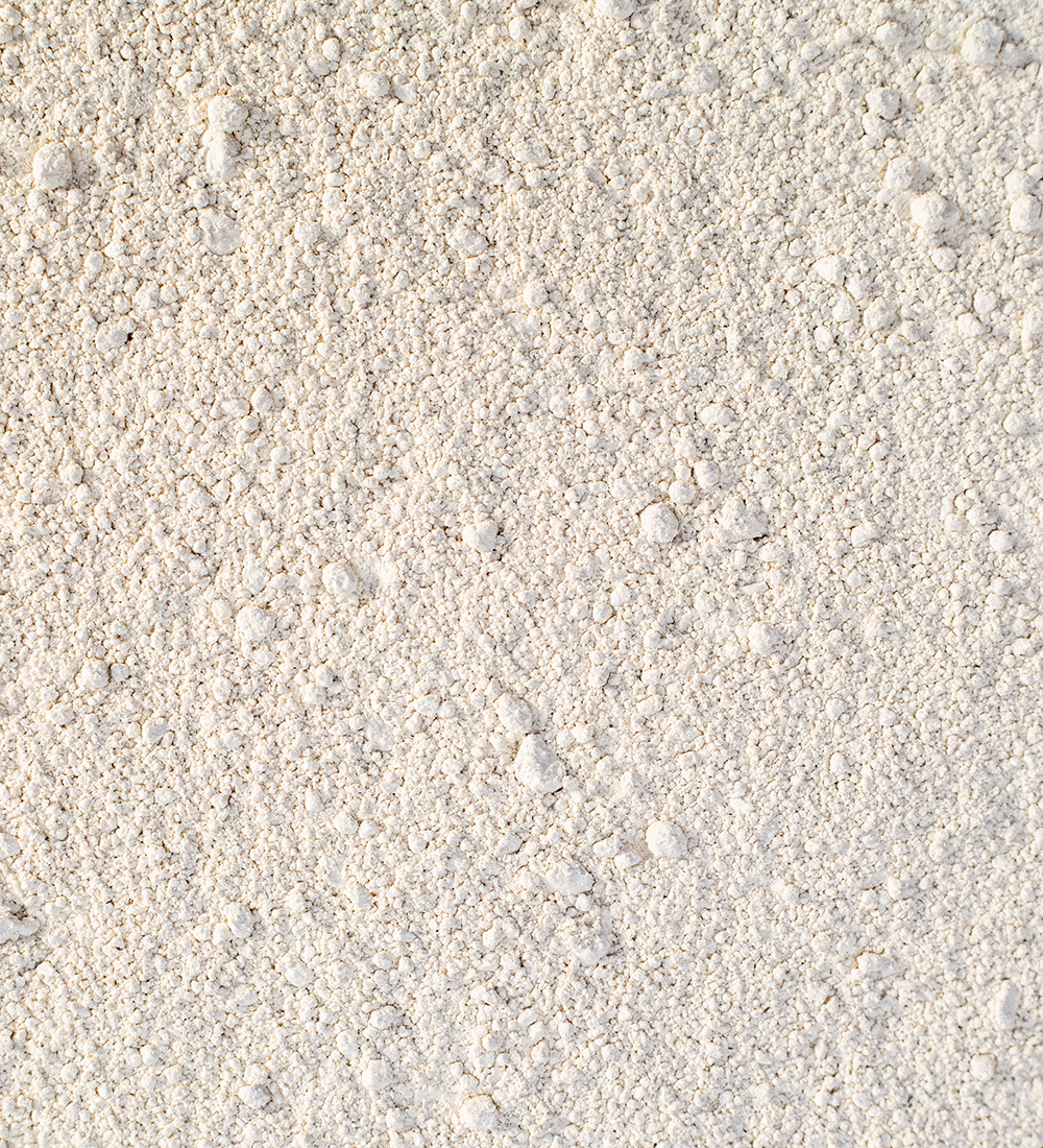 �ۥۥХ���������