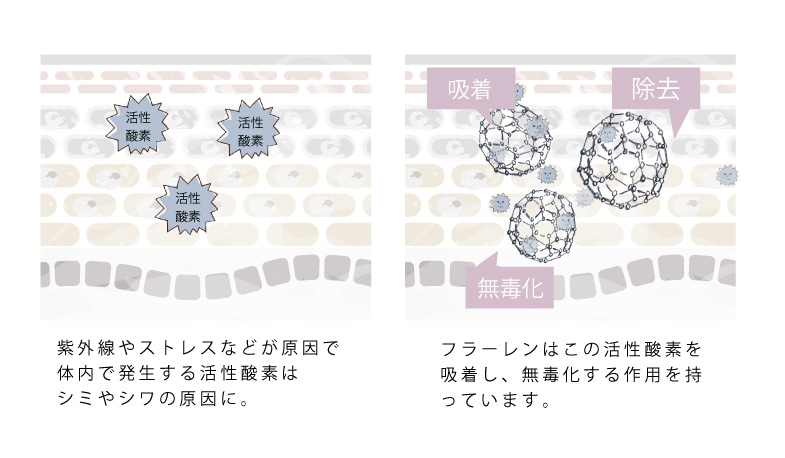 �ե顼���Υ������󥰸���