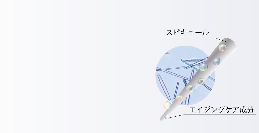 ���ԥ��塼��Ȥϡ�