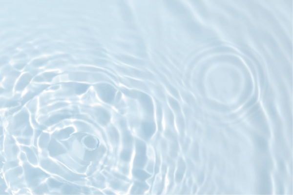 �����ȥ����۹�