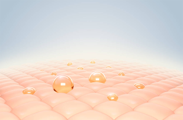�ʡ��륹�����ʬ����