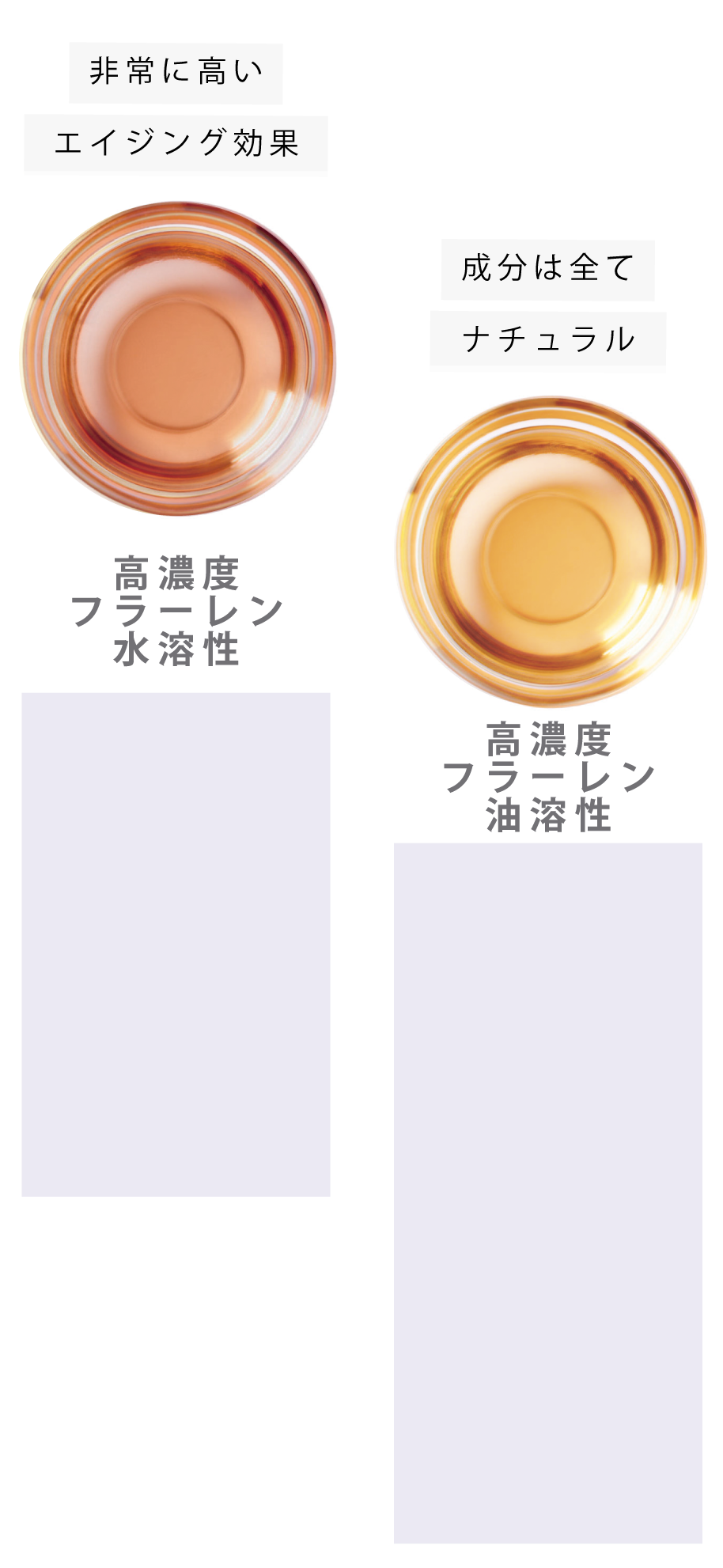 Natural Fクリーム(油溶性フラーレン高配合) 75g Natural Fクリーム(油溶性フラーレン高配合) 75g