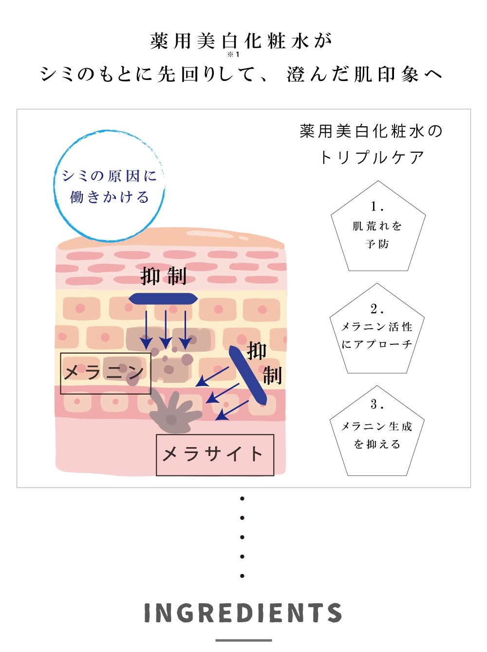 �������򲽾ѿ�Ϲ���ɸ��̤⤢��ޤ�