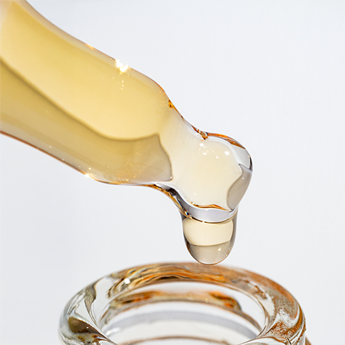 �����ȥ���