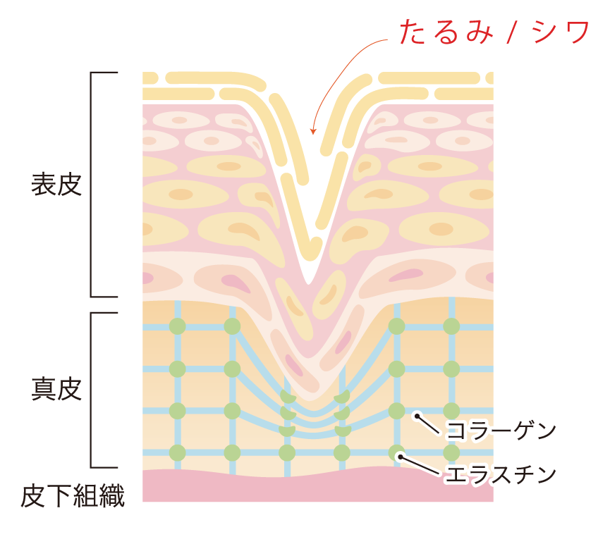 ���郎�Ǥ���ᥫ�˥���