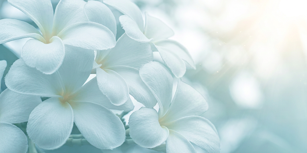 �ե�󥸥�ѥ�����