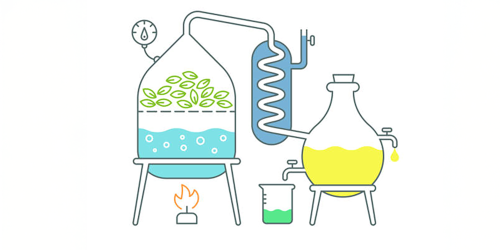 ˧���α��Ȥ�