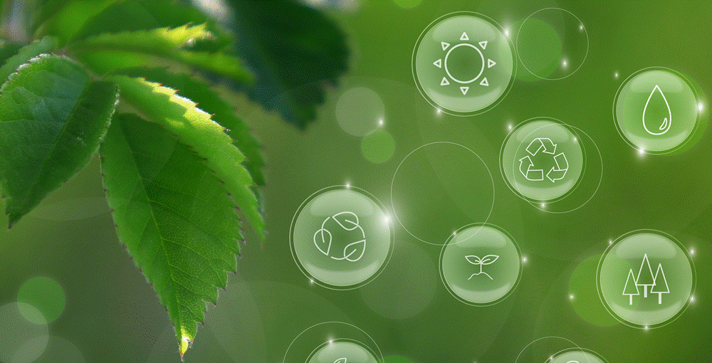 ˧���α��Ȥ�