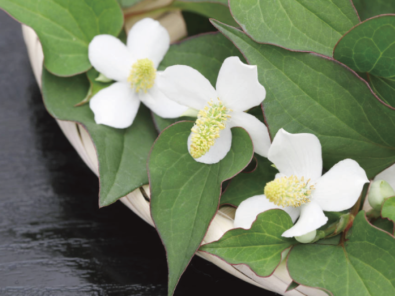 �Х���������Υ�����