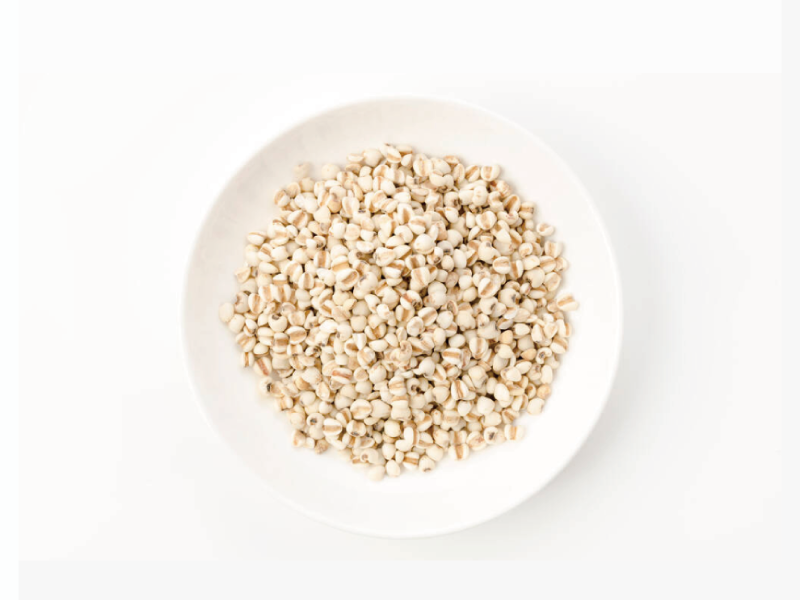 �Х���������Υ�����