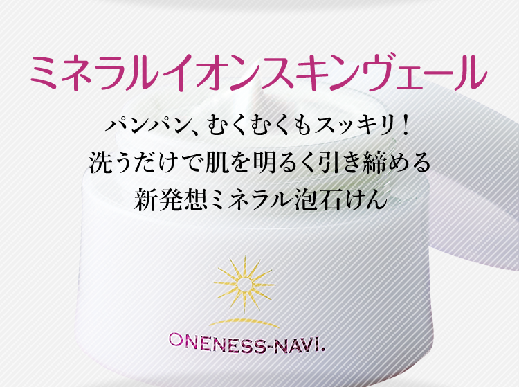 �ߥͥ�륤���󥹥���������� 5gx2 700�ߡ��ǹ���