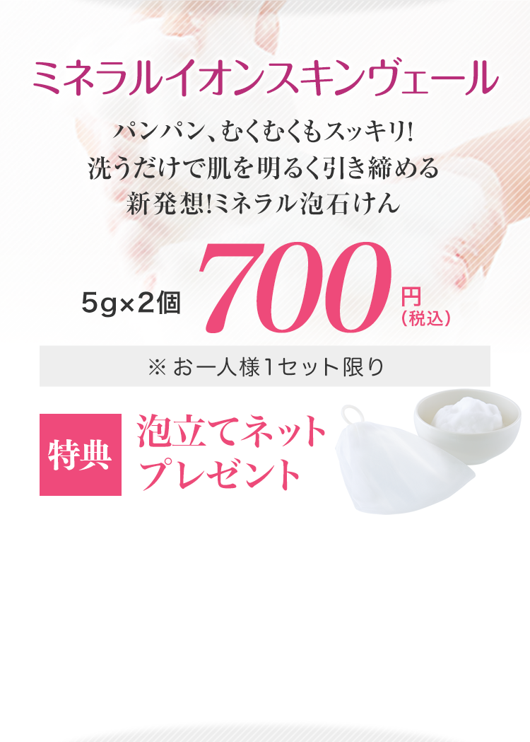 �ߥͥ�륤���󥹥����������
