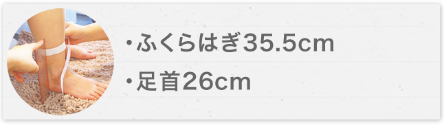 �դ���Ϥ�35.5cm ­��26cm