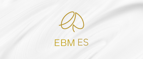 EBM ES꡼