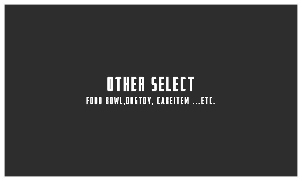 OTHER SELECT ¾Υ쥯