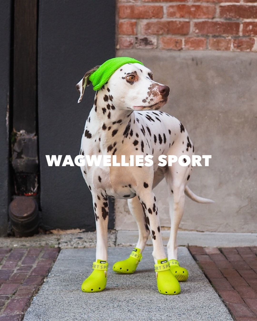 wagwear ワグウェリーズ スポーツ