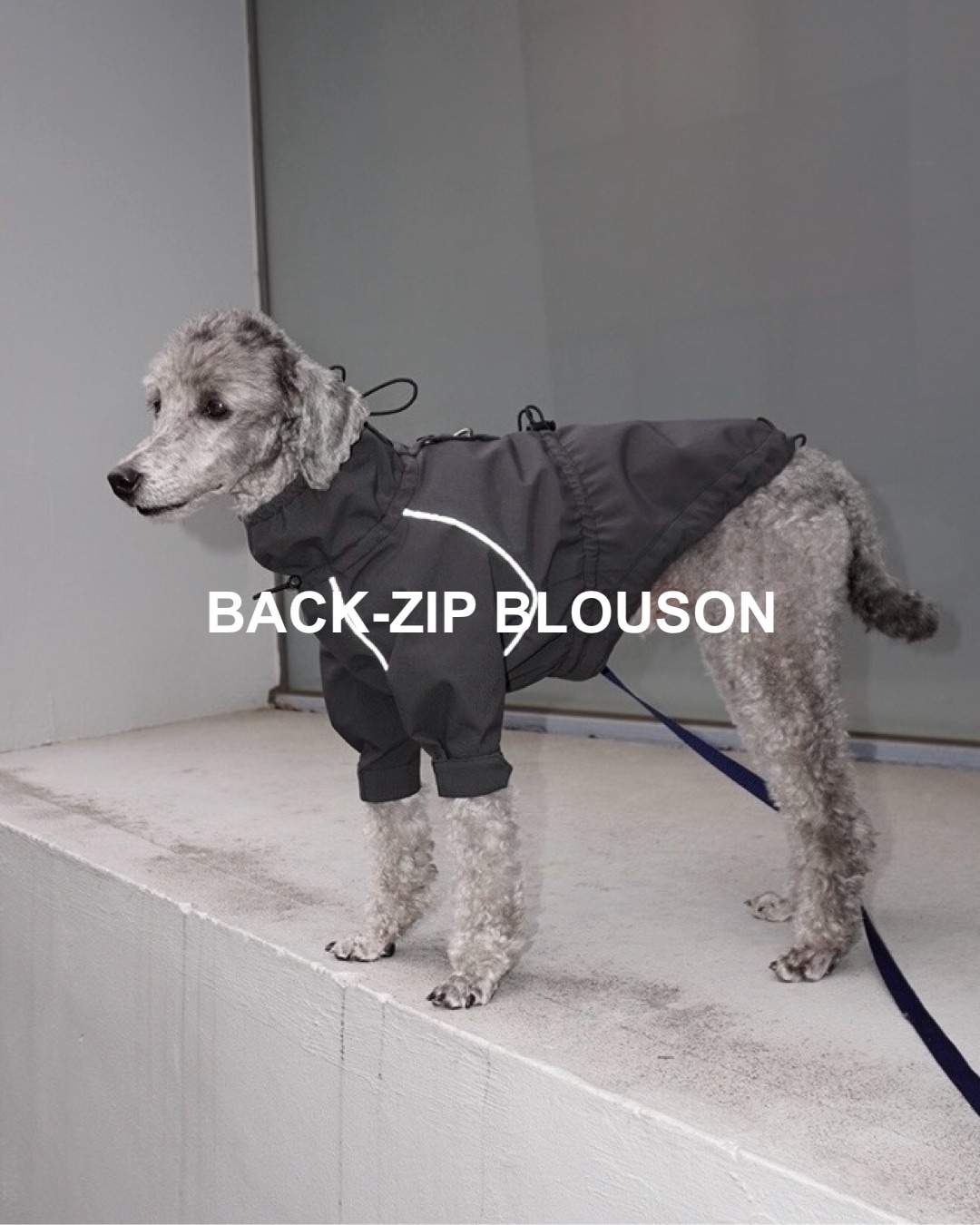 おしゃれなドッグウェア(犬服)ブランド・犬用品グッズの公式通販ならPEGION