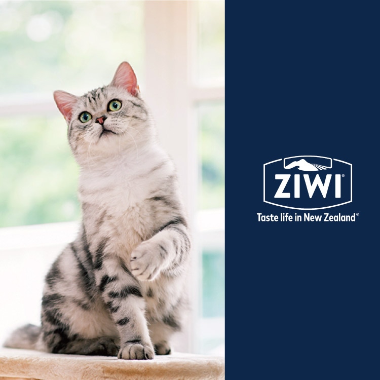 ZIWI