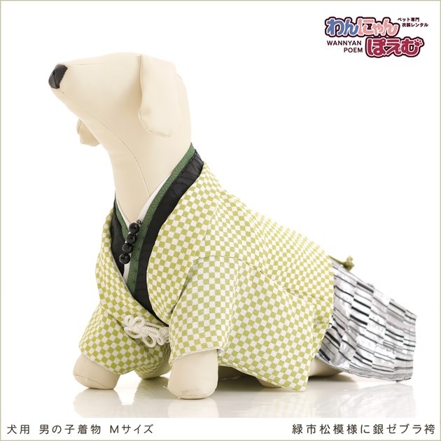 犬用着物レンタル男の子/小型〜中型犬Mサイズ和装