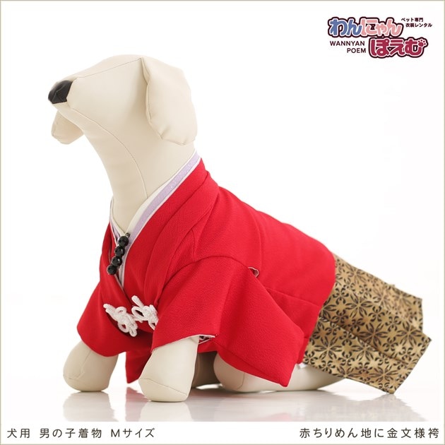 犬の着物レンタルはペット貸衣装わんにゃんぽえむ 小型犬 中型犬男の子の紋付袴タイプmサイズ