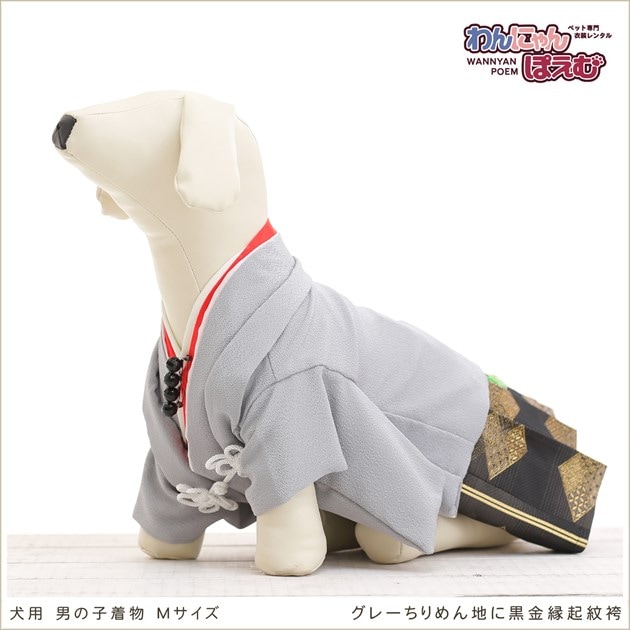 犬用着物レンタル男の子/小型〜中型犬Mサイズ和装
