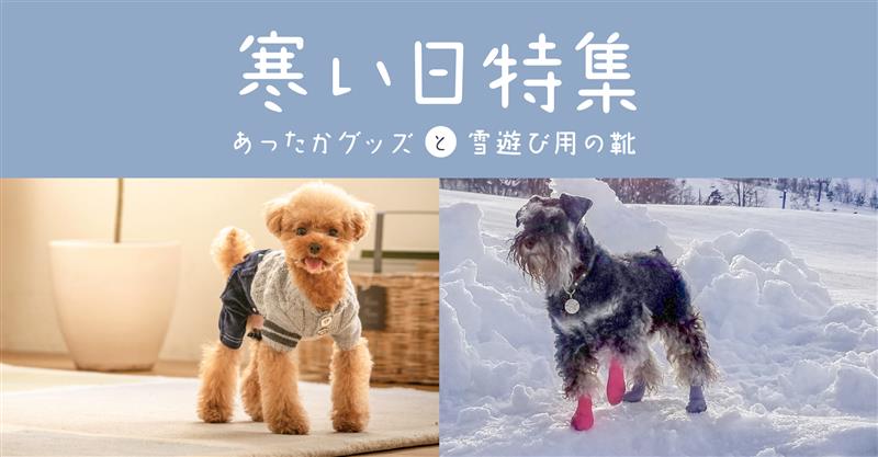 寒い日アイテム