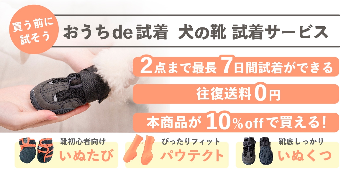 靴の試着セット