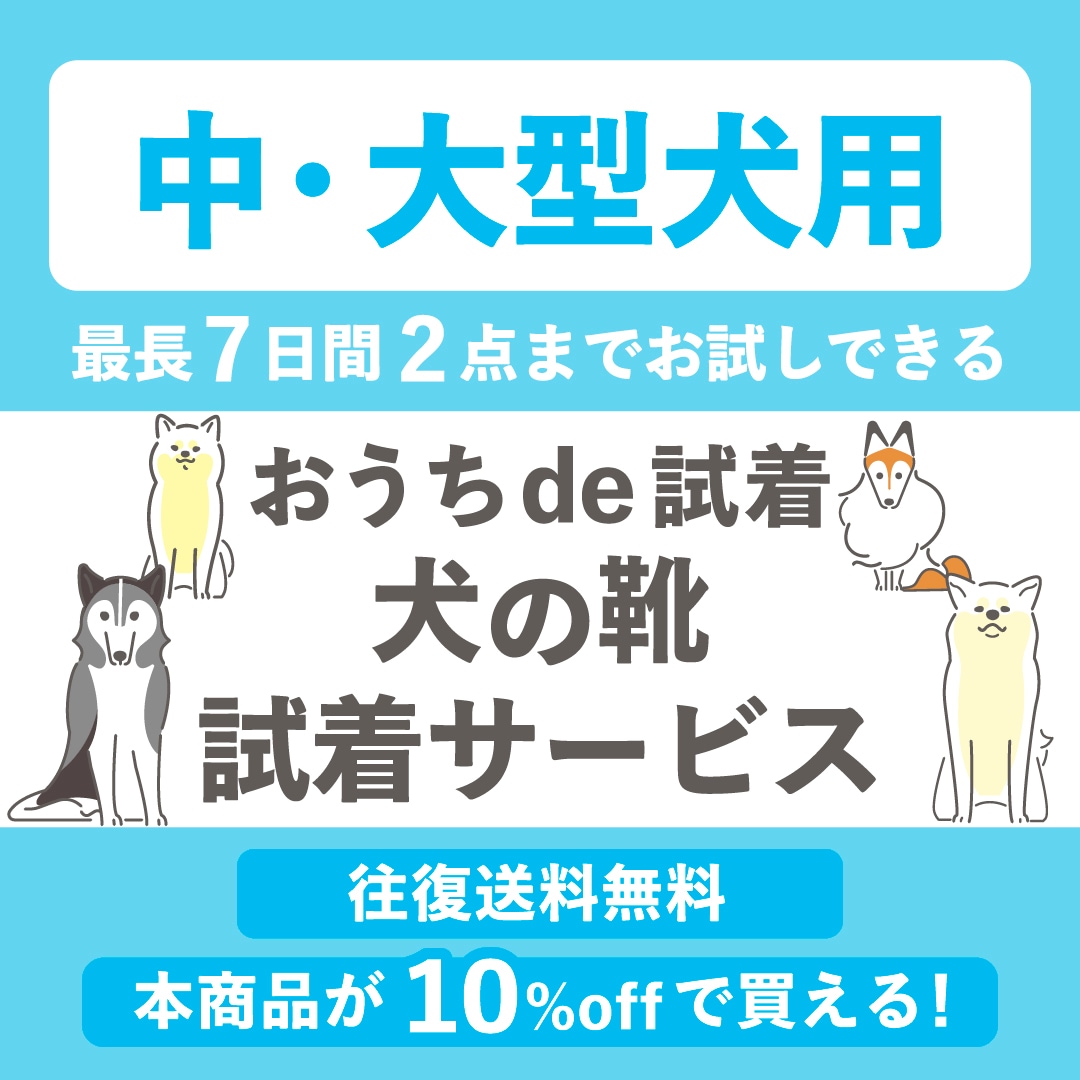 Image Caption