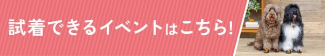 試着できるイベントはこちら