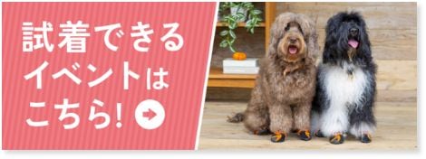 試着できるイベントはこちら