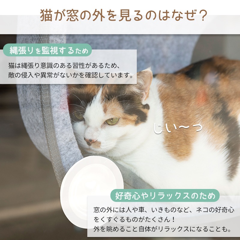 85%OFF!】 猫 窓 ハンモック ベッド キャットタワー おしゃれ 軽量