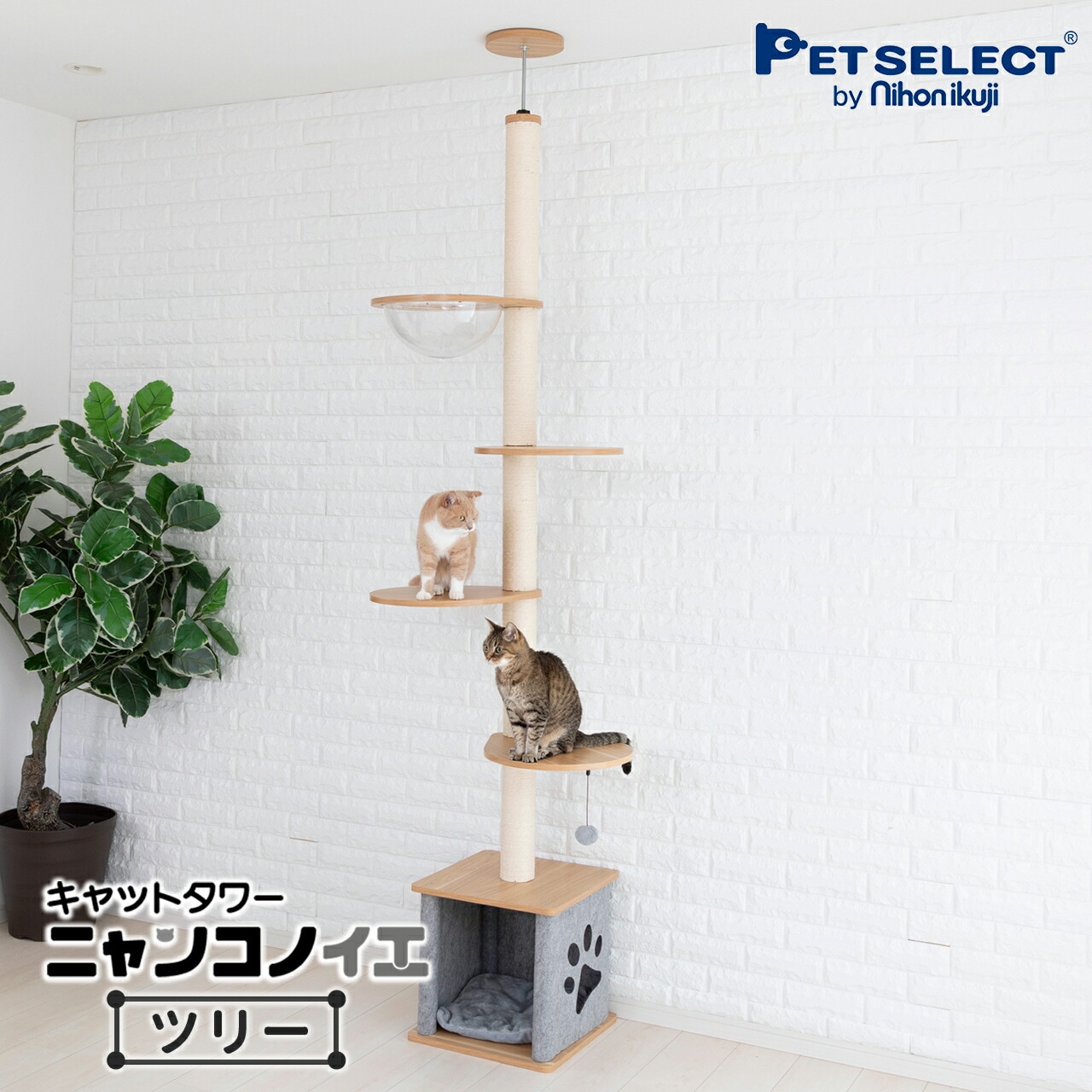 Petselect by Nihonikuji 公式オンラインショップペットセレクト 公式 