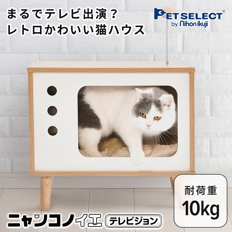 ニャンコノイエ テレビジョンの画像