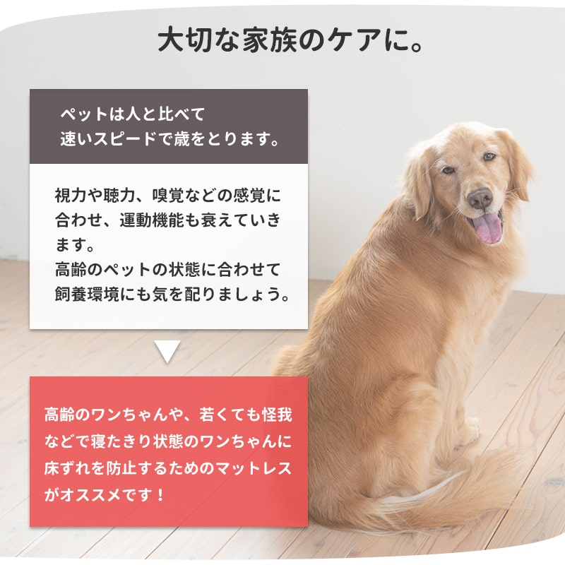 ペットケア たためるペットマット Lサイズ 床ずれ　予防 幅120×奥行き90cm たたんで コンパクト 犬 ペット 大型犬 室内犬  レトリーバー-Petselect by Nihonikuji　 公式オンラインショップ