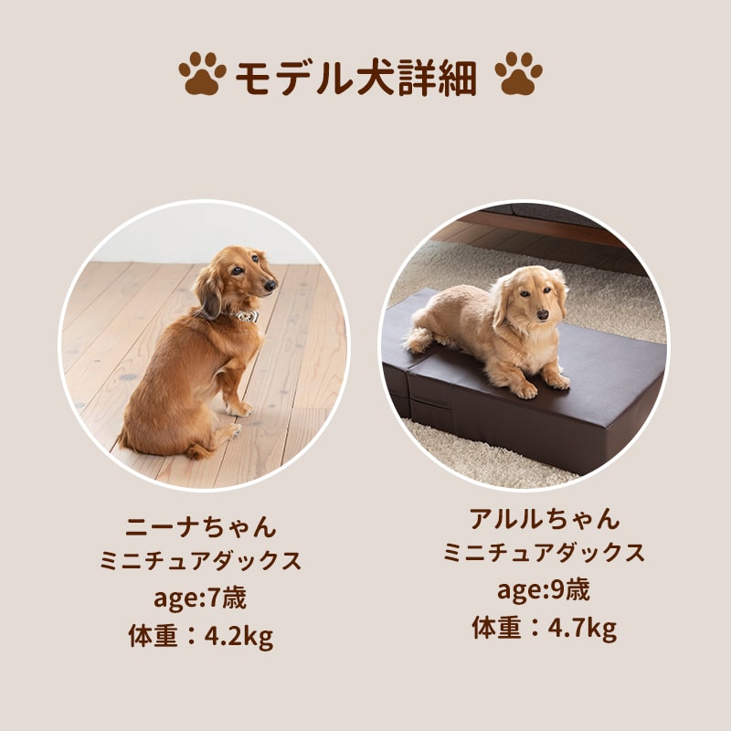 ■ペットケア たためるペットマット Ｓサイズ 床ずれ　予防 幅70×奥行き50cm たたんで コンパクト 犬 ペット 小型犬  室内犬-Petselect by Nihonikuji　 公式オンラインショップ