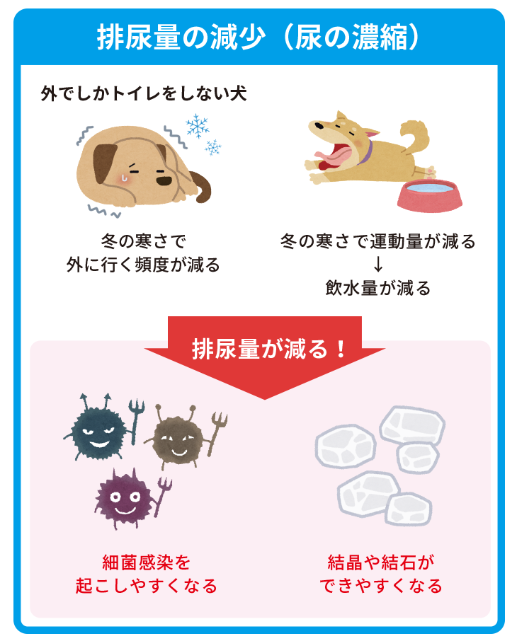 わんにゃんコラム 冬の血尿 老犬用品 ペット用品通販ならペットベリー