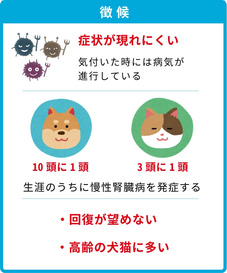 獣医師わんにゃんコラム 腎臓病 慢性腎臓病の診断 老犬用品 ペット用品通販ならペットベリー