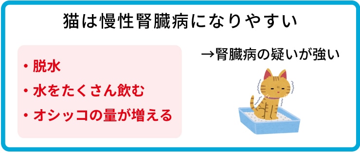 獣医師わんにゃんコラム】腎臓病 慢性腎臓病の診断｜老犬用品・ペット 