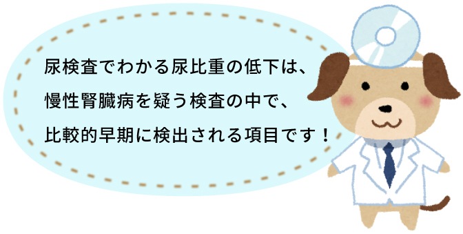 獣医師わんにゃんコラム】腎臓病 慢性腎臓病の診断｜老犬用品・ペット 