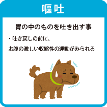 わんにゃんコラム 吐き戻し 老犬用品 ペット用品通販ならペットベリー