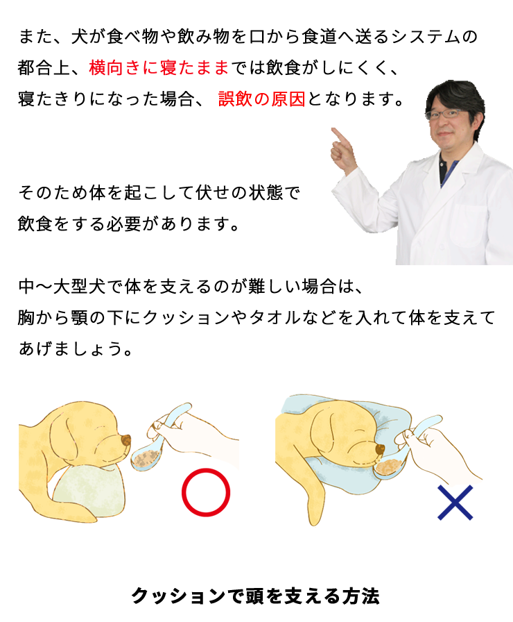 愛犬の食事を楽にする 食事介護 老犬用品 ペット用品通販ならペットベリー