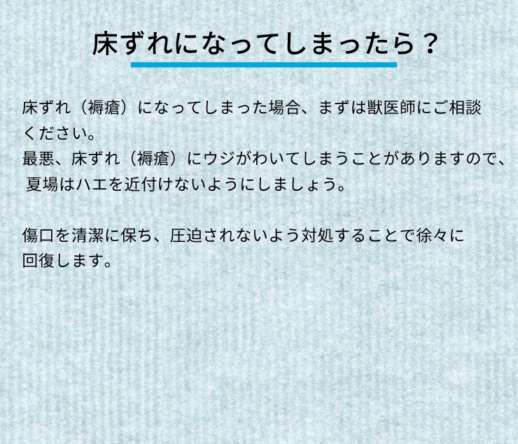 床ずれ予防 老犬用品 ペット用品通販ならペットベリー